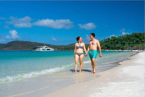 Whitehaven Beach Half-Day Cruises - Accommodation Newcastle 3