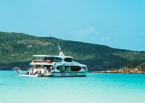 Whitehaven Beach Half-Day Cruises - Accommodation Newcastle 5
