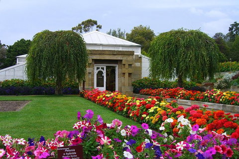 Hobart City Sightseeing Tour Including MONA Admission - Accommodation Newcastle 0