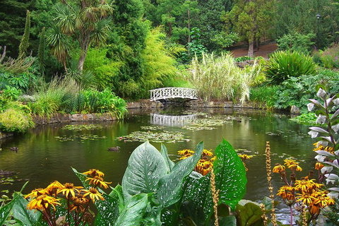 Hobart City Sightseeing Tour Including MONA Admission - Accommodation Newcastle 3