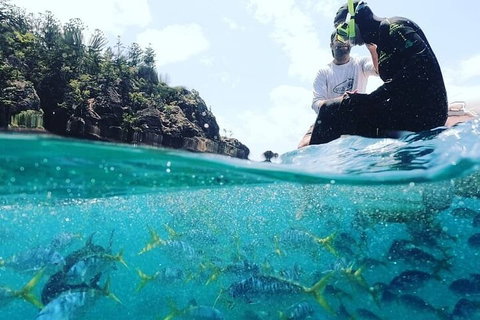 2 Night Small Group Whitsundays Sailing Adventure Aboard Mandrake - Accommodation Newcastle 5