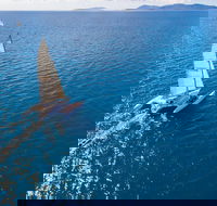 2-Night Whitsunday Islands Sailing Adventure on Trimaran Avatar - Accommodation Newcastle