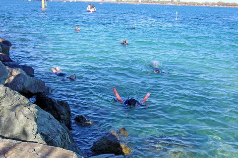 Wave Break Island Scuba Diving On The Gold Coast - Accommodation Newcastle 1