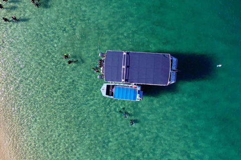Wave Break Island Scuba Diving On The Gold Coast - Accommodation Newcastle 2