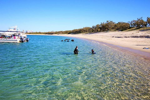 Wave Break Island Scuba Diving On The Gold Coast - Accommodation Newcastle 4