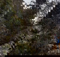 kunanyi / Mt. Wellington Guided Hiking Tour - Accommodation Newcastle