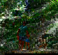 Full Day Daintree Rainforest and Mossman Gorge Tour - Accommodation Newcastle