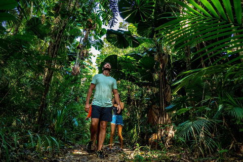 Full Day Daintree Rainforest And Mossman Gorge Tour - Accommodation Newcastle 0
