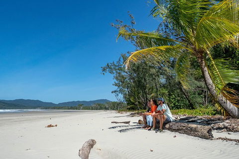 Full Day Daintree Rainforest And Mossman Gorge Tour - Accommodation Newcastle 4