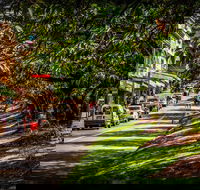 Fully Inclusive Blue Mountains Private Tour inc Scenic World  Featherdale entry - Accommodation Newcastle