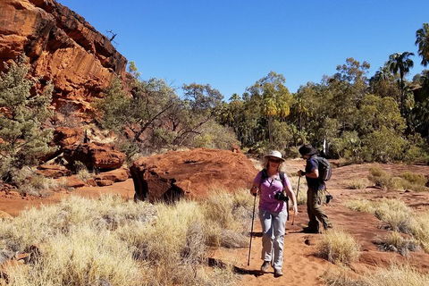 Palm Valley And Hermannsburg 1 Day 4WD Tour - Accommodation Newcastle 1