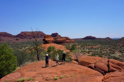 Palm Valley And Hermannsburg 1 Day 4WD Tour - Accommodation Newcastle 2