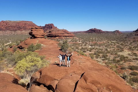 Palm Valley And Hermannsburg 1 Day 4WD Tour - Accommodation Newcastle 3