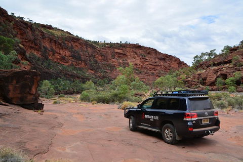 Palm Valley And Hermannsburg 1 Day 4WD Tour - Accommodation Newcastle 5
