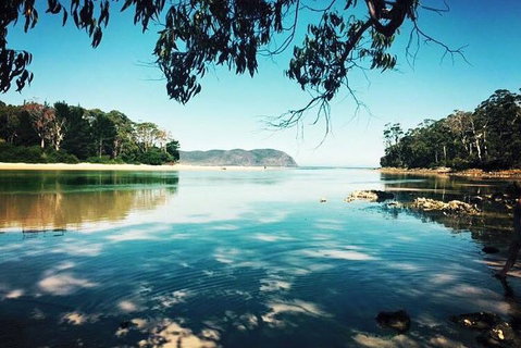 Full-Day Guided Bruny Island Tour From Hobart - Accommodation Newcastle 1