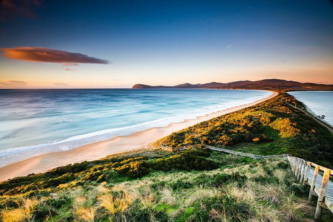Full-Day Guided Bruny Island Tour From Hobart - Accommodation Newcastle 2