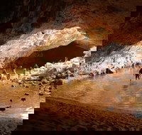 Windjana Explorer - Accommodation Newcastle