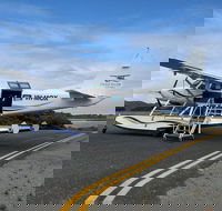 Full Day Tour by Seaplane to Rottnest Island Small Group Trip - Accommodation Newcastle