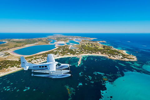 Full Day Tour By Seaplane To Rottnest Island Small Group Trip - Accommodation Newcastle 1
