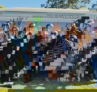 Full Day Mount Tamborine Winery Tour from Gold Coast - Accommodation Newcastle