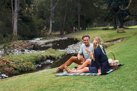 Mt Tamborine - Hinterland Wonders Self Guided - Accommodation Newcastle 0