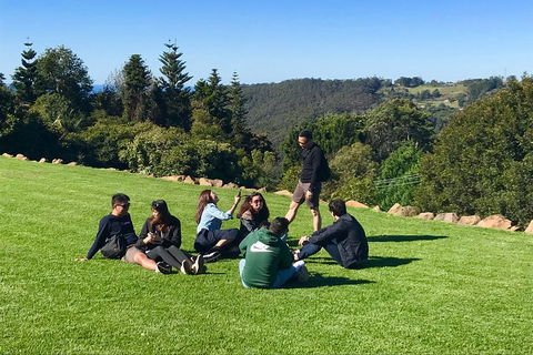 Mt Tamborine - Hinterland Wonders Self Guided - Accommodation Newcastle 1