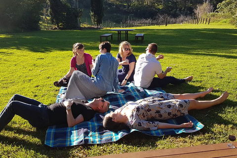 Mt Tamborine - Hinterland Wonders Self Guided - Accommodation Newcastle 2