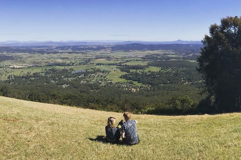Mt Tamborine - Hinterland Wonders Self Guided - Accommodation Newcastle 4