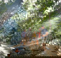 Mossman Gorge Adventure Day - Accommodation Newcastle