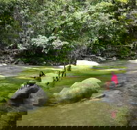 Daintree Dreaming Traditional Aboriginal Fishing from Cairns or Port Douglas - Accommodation Newcastle