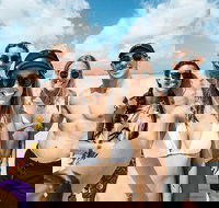 Whitsunday Islands Sailing Adventure - Accommodation Newcastle