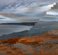 Kangaroo Island Luxury Small Group 'Flinders Chase Focus' Full Day Tour - Accommodation Newcastle