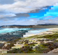 Kangaroo Island Luxury Small Group 'East End Explorer' Full Day Tour - Accommodation Newcastle