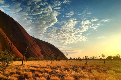 Highlights Of Uluru Including Sunrise And Breakfast - Accommodation Newcastle 0