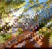 Uluru Small Group Tour including Sunset - Accommodation Newcastle