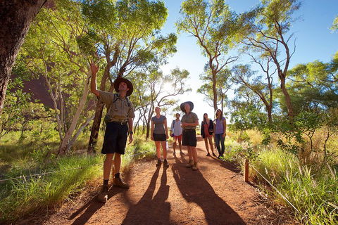 Uluru Small Group Tour Including Sunset - Accommodation Newcastle 0