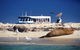 Dolphin, Penguin And Sea Lion Cruise - thumb 1