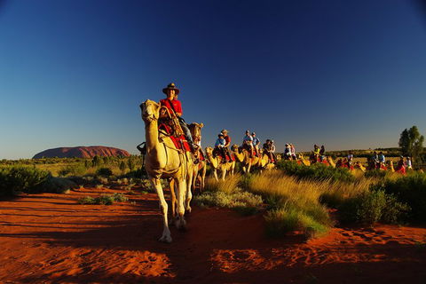 Uluru Small-Group Tour By Camel At Sunrise Or Sunset - Accommodation Newcastle 1