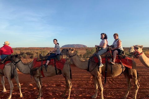 Uluru Small-Group Tour By Camel At Sunrise Or Sunset - Accommodation Newcastle 2