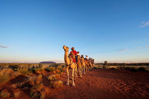 Uluru Small-Group Tour By Camel At Sunrise Or Sunset - Accommodation Newcastle 3