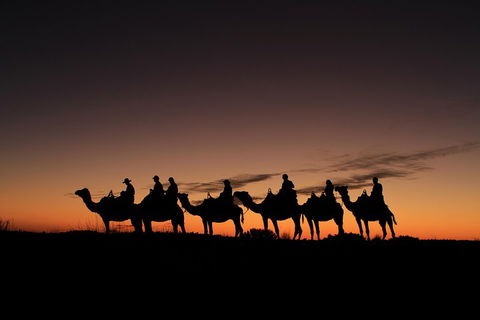Uluru Small-Group Tour By Camel At Sunrise Or Sunset - Accommodation Newcastle 4