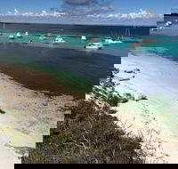 Experience Rottnest with Ferry  Bike Hire from Perth or Fremantle - Accommodation Newcastle