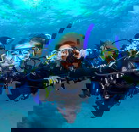 Great Barrier Reef Diving and Snorkeling Cruise from Cairns - Accommodation Newcastle