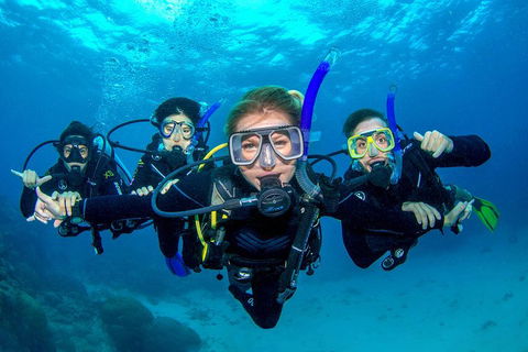 Great Barrier Reef Diving And Snorkeling Cruise From Cairns - Accommodation Newcastle 0
