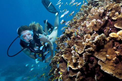 Great Barrier Reef Diving And Snorkeling Cruise From Cairns - Accommodation Newcastle 1