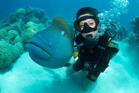 Great Barrier Reef Diving And Snorkeling Cruise From Cairns - Accommodation Newcastle 2