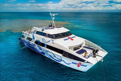 Great Barrier Reef Diving And Snorkeling Cruise From Cairns - Accommodation Newcastle 5