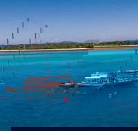 Ocean Free Green Island  Great Barrier Reef Snorkel Cruise Cairns 25 guests - Accommodation Newcastle