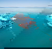 Ocean Freedom Great Barrier Reef Personal Luxury Snorkel  Dive Cruise Cairns - Accommodation Newcastle