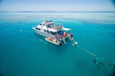 Ocean Freedom Great Barrier Reef Personal Luxury Snorkel & Dive Cruise, Cairns - Accommodation Newcastle 0
